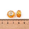 Baking Paint Transparent Glass European Beads GPDL-N004-C14mm-B01-3