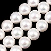 Electroplated Shell Pearl Graduated Beads Strands BSHE-C011-04-2