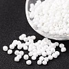 6/0 Opaque Colours Round Glass Seed Beads X-SEED-A010-4mm-41-1