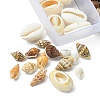 6 Styles Natural Mixed Cowrie Shell Beads Sets BSHE-YW0001-05-3