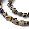 Natural Dalmatian Jasper Beads Strands G-B039-03B-3