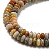 Natural Crazy Lace Agate Beads Strands X-G-K343-C04-02-4