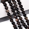 Natural Biotite Beads Strands G-Q616-01C-1