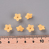 Transparent Acrylic Beads LS-X-PL554-07-5
