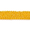 Transparent Glass Beads Strands GLAA-H021-03-06-2