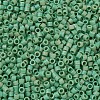 MIYUKI Delica Beads SEED-MY11-DB0877-3