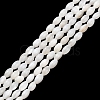 Natural Freshwater Shell Beads Strands SHEL-C010-03B-1