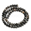 Natural Black Silver Leaf Jasper Beads Strands G-R494-A17-02-2