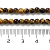 Natural Tiger Eye Beads Strands G-G099-4mm-4-3