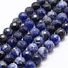 Natural Sodalite Beads Strands G-D840-19-10mm-1
