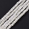 Half Plated Faceted Rondelle Electroplate Imitation Jade Glass Bead Strands X-EGLA-D020-3x2mm-05-2
