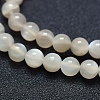 Natural White Moonstone Beads Strands G-P342-02A-6mm-AB-3