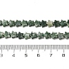 Natural Green Spot Jasper Beads Strands G-H087-C01-01-5