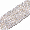 Natural Cultured Freshwater Pearl Beads Strands PEAR-N012-02H-4