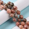 Natural Plum Blossom Jasper Beads Strands G-G990-F16-2