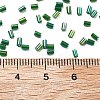 Two Cut Glass Seed Beads CSDB167B-3