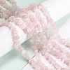 Natural Rose Quartz Beads Strands G-G011-14-4