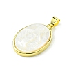 Rack Plating Brass Pave Natural Shell Pendants KK-A204-01C-02G-2