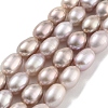 Natural Cultured Freshwater Pearl Beads Strands PEAR-P062-10E-2