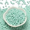 Baking Paint Pearlized Glass Seed Beads SEED-C001-04A-02-2
