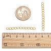 Iron Ends with Twist Chains CH-CH017-G-5cm-3