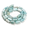 Natural Amazonite Beads Strands G-G068-A35-01-3