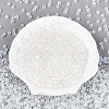 6/0 Half Plated Glass Beads SEED-N008-04G-1