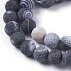 Natural Weathered Agate Beads Strands G-P414-A06-3