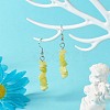 Natural & Synthetic Mixed Stone Chip Beads Dangle Earrings EJEW-JE04649-4