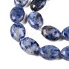Natural Blue Spot Jasper Beads Strands G-M206-40-3