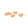 Natural Freshwater Shell Beads X-BSHE-I011-03C-2