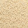 TOHO 11/0 Round Beads SEED-JPTR11-0123-2
