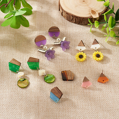 DIY 12 Pairs 12 Style Two Tone Resin & Walnut Wood Stud Earring Findings DIY-CW0001-35-1