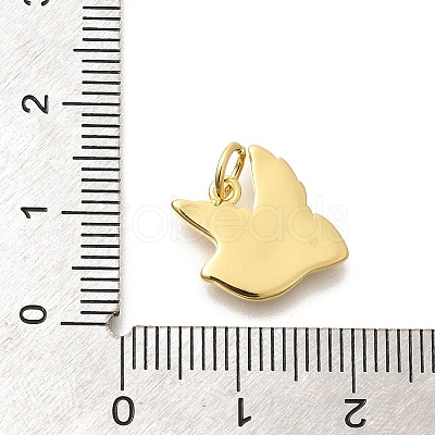 Brass Enamel Charms KK-L225-044G-1
