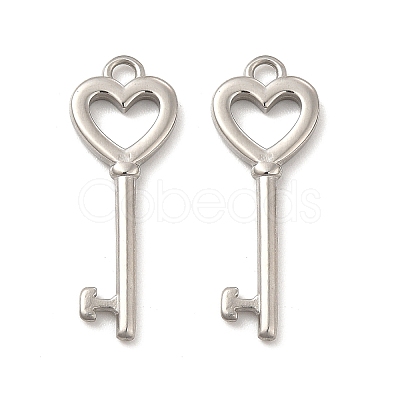 Non-Tarnish 304 Stainless Steel Pendants LS-STAS-F284-17P-1