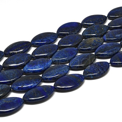 Natural Lapis Lazuli Beads Strands G-K311-08B-1