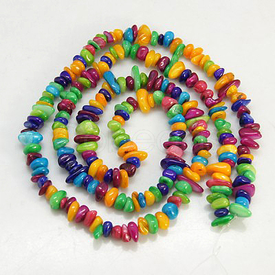 Natural Shell Beads Strands X-BSHE-D004-2-1