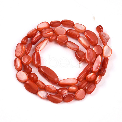 Natural White Shell Beads Strands SHEL-N036-21F-1