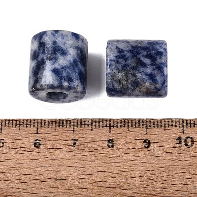 Natural Blue Spot Jasper European Beads G-P520-05J-1
