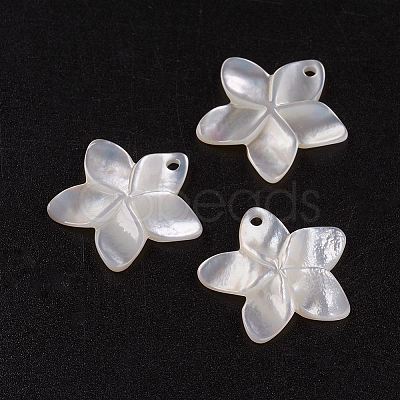Natural White Shell Mother of Pearl Shell Pendants LS-SSHEL-G014-60-1