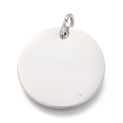 Non-Tarnish 304 Stainless Steel Charms EJEW-L238-03E-P-1