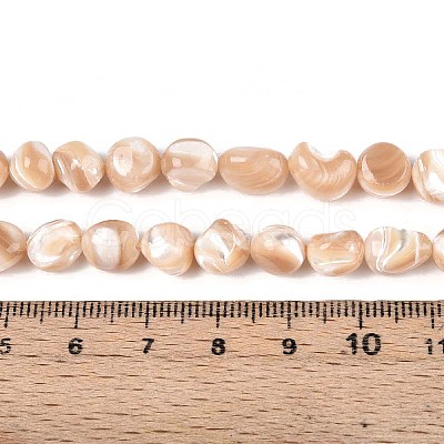 Natural Trochid Shell/Trochus Shell Beads Strands SSHEL-N040-13-1