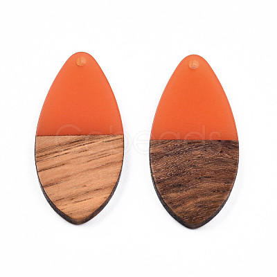 Transparent Resin & Walnut Wood Pendants RESI-N025-032-C07-1