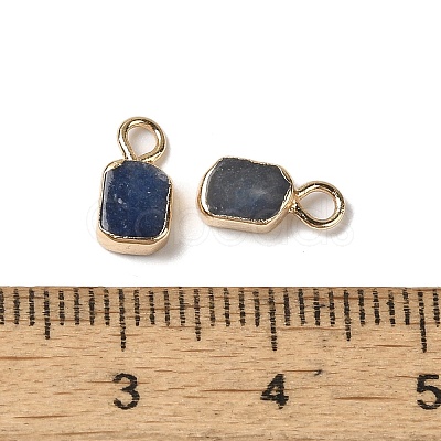 Dyed & Heated Natural Blue Aventurine Rectangle Charms G-Q169-07G-07-1