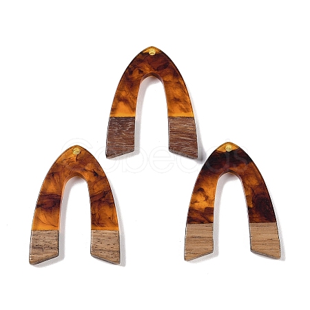 Resin & Wood Pendants WOOD-F015-16C-1