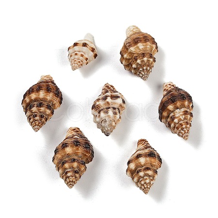 Natural Spiral Shell Beads SHEL-K009-17C-1