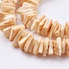 Natural Sea Shell Beads Strands BSHE-K012-08-3