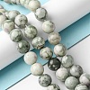 Natural Peace Jade Beads Strands G-E598-04A-1