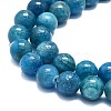 Natural Apatite Beads Strands G-K245-A03-04-3