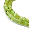 Natural Peridot Beads Strands G-P457-B01-06-2
